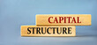 © Zhanna - CAPITAL STRUCTURE - words on wooden blocks on blue background
