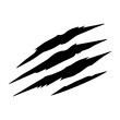 © Riki - animal claw scratches mark isolated