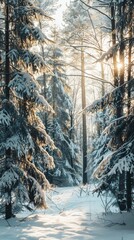 Poster - A snowy forest with trees covered in snow. The sun is shining through the trees, creating a warm and peaceful atmosphere