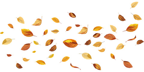 Wall Mural - simple vector illustration of autumn leaves falling in a line on a white background