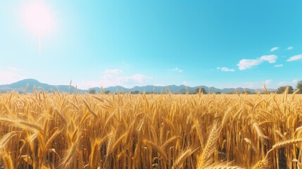 Poster - Generative AI Vast golden cornfield stretching across the horizon under a clear blue sky on a sunny day.