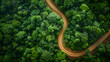 A photo featuring reforestation efforts in areas affected by deforestation, captured from above with a drone. Highlighting the restoration of natural habitats and the sequestration of carbon dioxide b