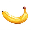 banana watercolor isolated on white background