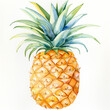 pineapple watercolor on a white
