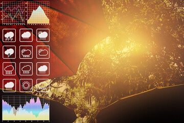 Image of severe environmental heat wave atmosphere and climate symbol with bright sunlight and two big umbrellas. Image use for meteorology forecast background.