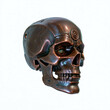 Bronze skull. Digital illustration. Isolated on white background.