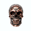 Copper skull. Front view, Isolated on white background. Digital illustration.
