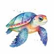 Turtle isolated on a white background. Watercolor sea turtle illustration. Underwater reptile with splashes clipart.