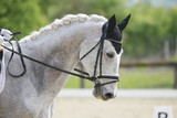Fototapeta Konie - Closeup of a horse portrait during competition training