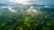 A photo featuring sustainable forestry practices such as selective logging and forest conservation, captured from an aerial perspective with a drone. Highlighting the preservation of biodiverse ecosys
