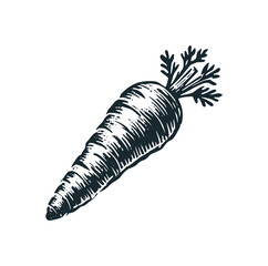 Canvas Print - The carrot. Black white vector logo illustration. 