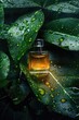 A bottle of perfume on a wet background of flowers and leaves. Selective focus.