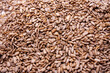 sunflower seeds, peeled, for eating or cooking desserts and other dishes