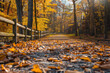 Autumn pathway in a sunlit park with vibrant fall colors