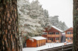 essence of a serene winter escape, showcasing cozy wooden lodges nestled amongst snow-draped pine trees
