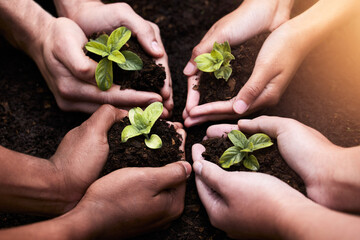 Plants ,hands and soil for collaboration with nature, earth wellness and gardening hope for future in agriculture farming. Ecology, teamwork and people or environmental health, community and outreach