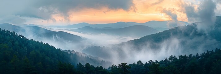 Wall Mural - Mountains in clouds at sunrise in summer, Aerial view of mountain slopes with green trees in fog, Beautiful landscape with hills and foggy forest, Top view from drone of mountain woods in low clouds