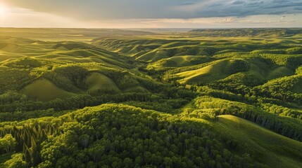 Wall Mural - Aerial view of the Cypress Hills in Saskatchewan, Canada, a unique landscape that rises above the surrounding plains, off