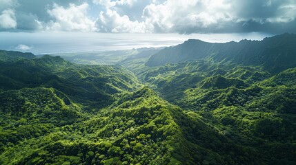 Aerial view of the El Yunque National Forest in Puerto Rico, the only tropical rainforest in the U.S. National Forest Sys