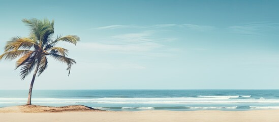  Copy space image featuring a serene beach scene with a solitary palm tree and a vacant wooden structure in the background