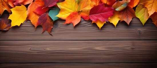 Wall Mural - From above there is a copy space image showcasing the breathtaking beauty of multicolored autumn leaves resting on a wooden surface