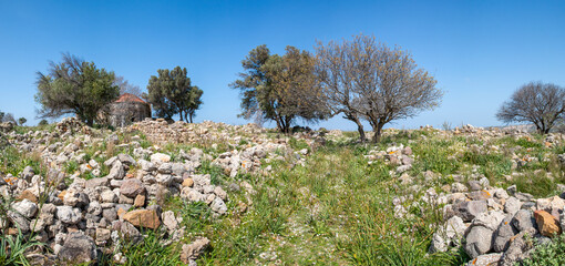 Wall Mural - castle ruins of Antimachia Castle Kos Island South Aegean Region (Südliche Ägäis) Greece