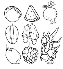 Wall Mural - fruits element outline design for templates.