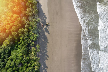 Canvas Print - Tropical beach background