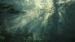 © Janie - Sunlight pierces the mist in a lush forest, creating dramatic beams of light across the serene, green woodland.