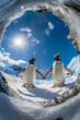 © Studio F. - Fish eye lens image penguins, north Pole, blue sky and sun