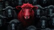 Stand out - red sheep among black herd