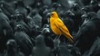 Stand out - yellow bird among crows