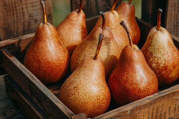 Wall Mural - Ripe juicy pears in wooden crates  rustic warehouse setting for food advertisement