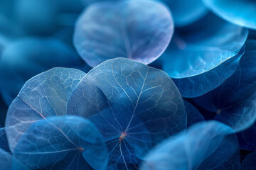 Aufkleber - A series of overlapping, translucent circles in shades of blue, creating a visual representation of harmonious sounds,