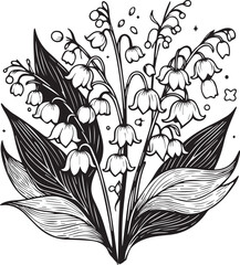 Wall Mural - Sketch of Floral Botany Collection, Lily of the Valley flower drawings. Black and white with line art on white backgrounds. Hand Drawn Botanical lily of the valley Illustrations