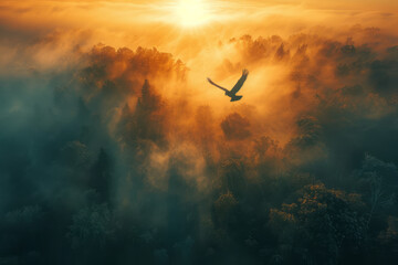 Poster - Tranquil scene of a skydiver floating above a misty forest at dawn, with soft light filtering through the trees,