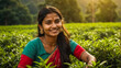 Indian girl picking green tea on a plantation