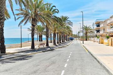 Poster - Picturesque seafront palm-tree lined promenade of Torre de la Horadada. Empty pedestrian walkway and turquoise Mediterranean Sea. Costa Blanca, Spain. Summer vacation, travel and holidays concept