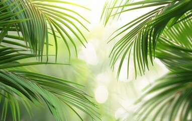 Lush green palm leaves arching elegantly against a bright background.