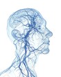 Blue translucent head and neck with detailed circulatory system.