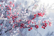 An illustration showcasing a closeup of a frozen branch filled with red berries
