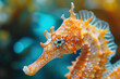 Seahorses. Underwater wallpaper