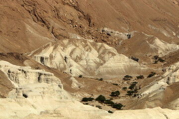 Wall Mural - The Judean Desert in the Middle East, located in Israel and the West Bank.