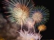A vibrant display of colorful fireworks lighting up the night sky, symbolizing celebration