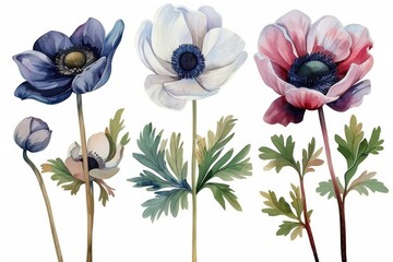 Poster - A bunch of flowers grouped together. Suitable for various design projects