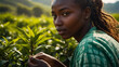 girl picking green tea on a plantation in Kenya daylight