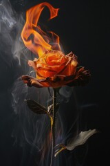 Aufkleber - A unique rose emitting smoke. Perfect for creative projects