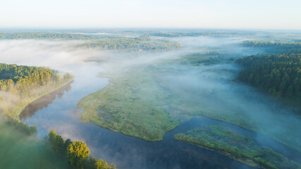 Poster - A foggy morning over a river with trees in the background. The sky is a light blue color