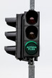 Action Plan Concept. Traffic Light with green light