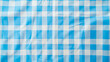 A blue and white checkered fabric.